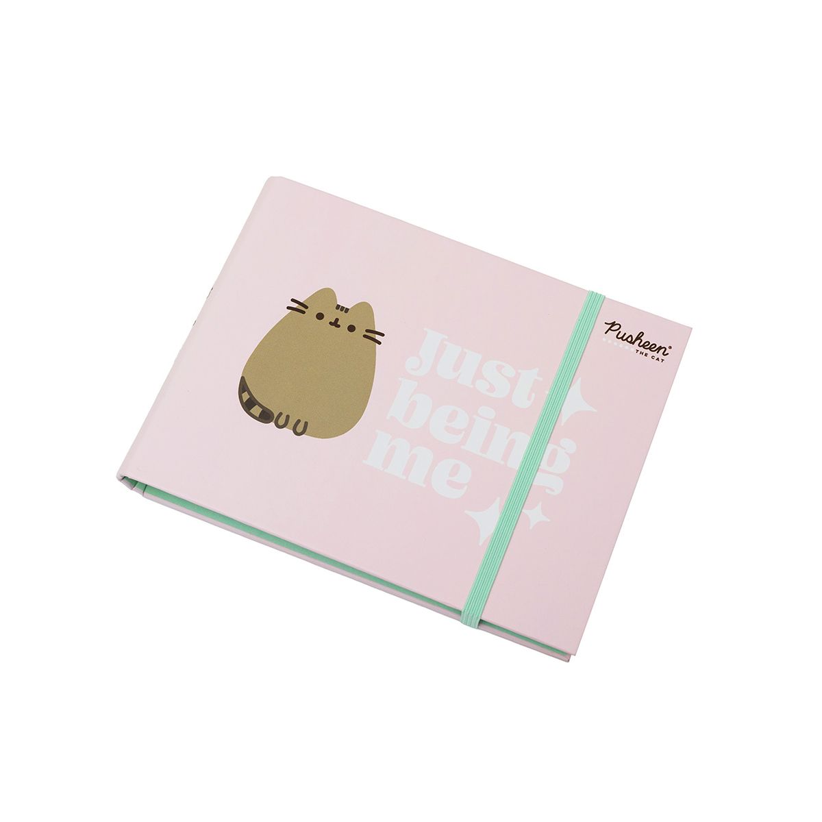 Pamiętnik Pusheen Bambino