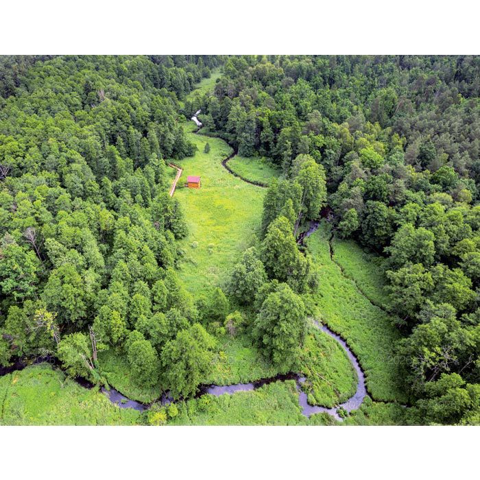 Kalendarz ścienny 13-planszowe 320mm x 470mm Lucrum (RW04)