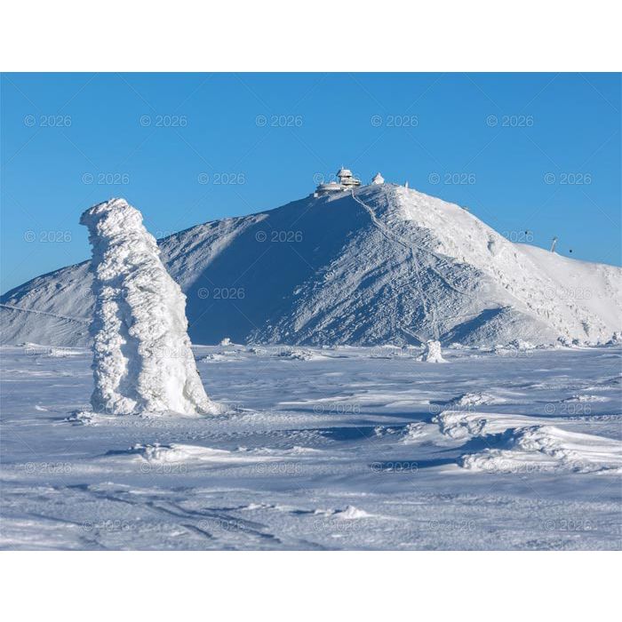 Kalendarz ścienny PEJZAŻE POLSKIE 13-planszowe 320mm x 470mm Lucrum (RW01)